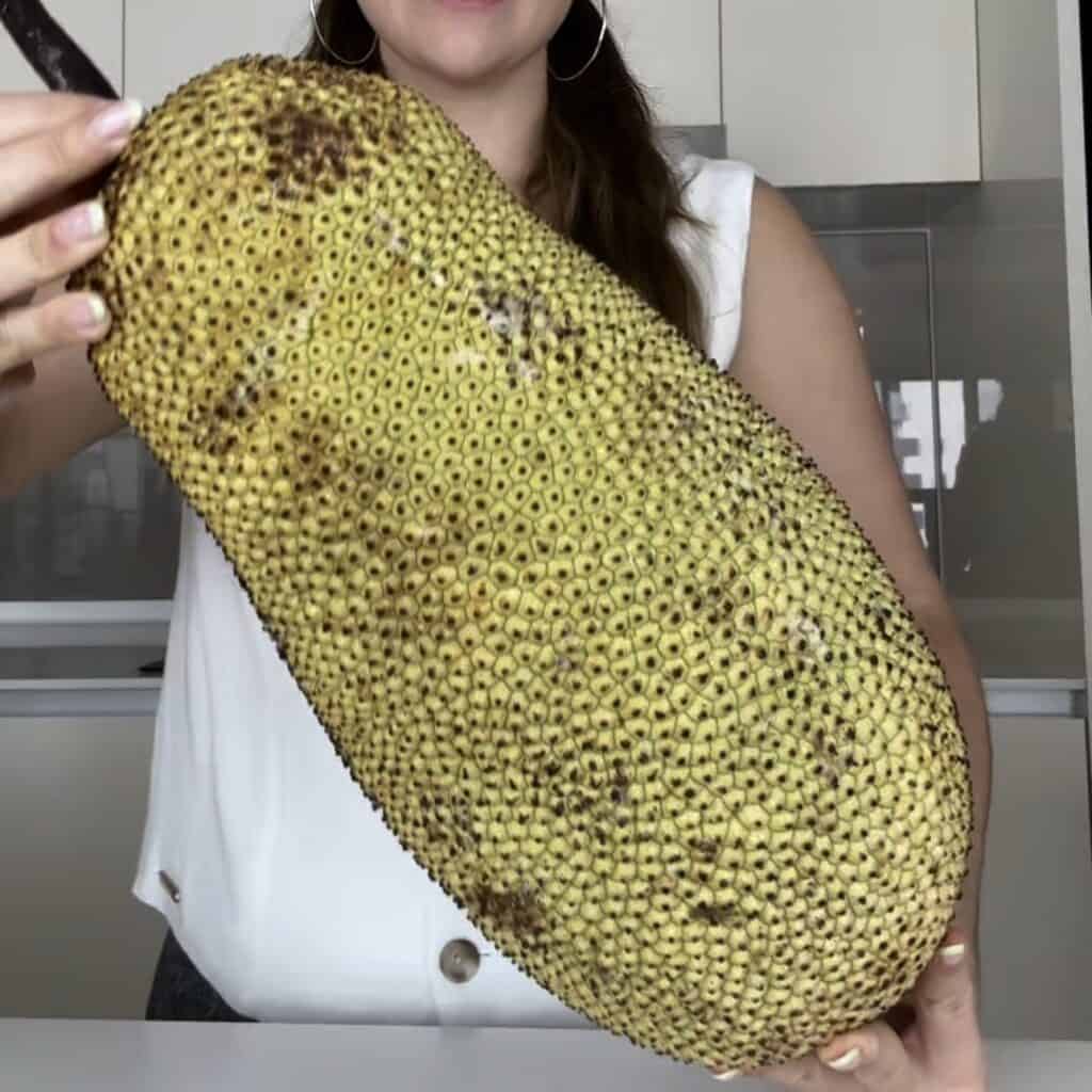 Australian girl in south east asia holding a cempedak fruit