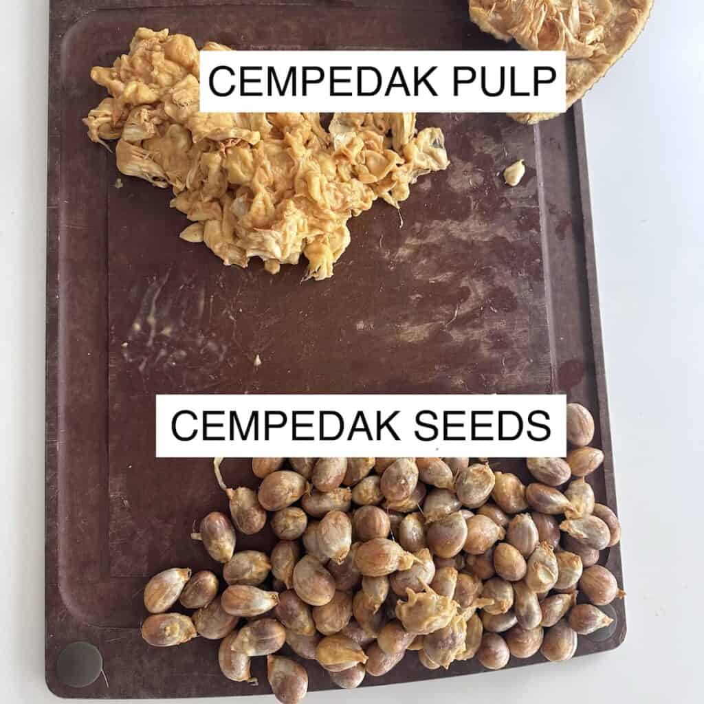 cempedak seeds