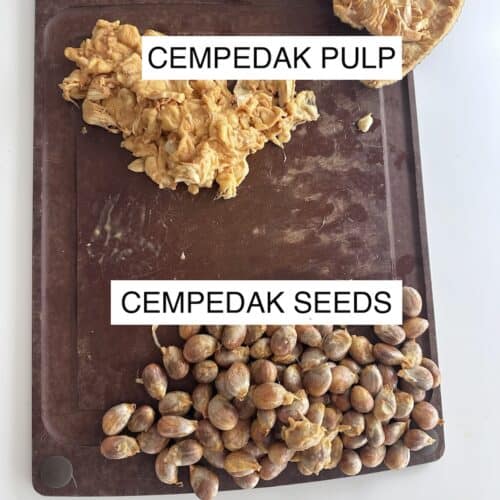 cempedak seeds