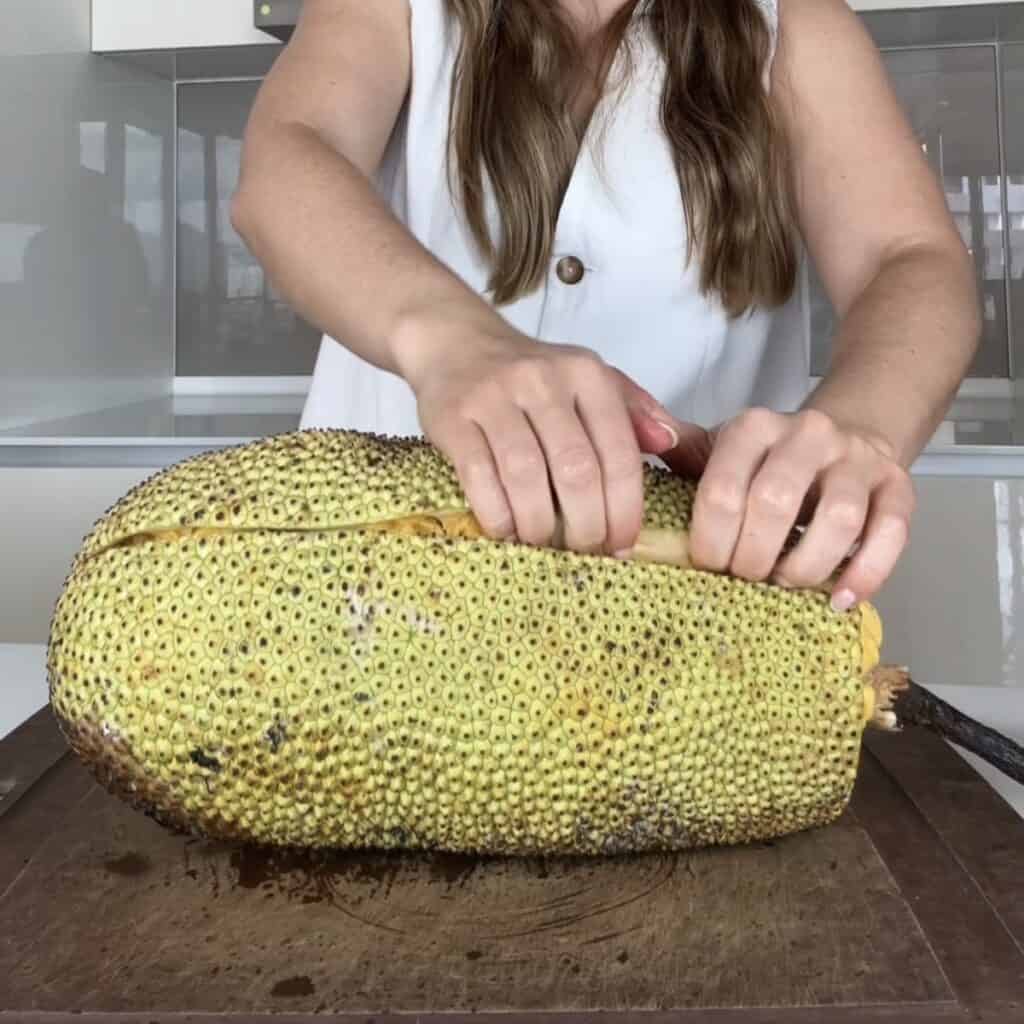 A close-up of a person using their fingernails to gently pry and peel the tough outer rind away from the inner cempedak fruit flesh.