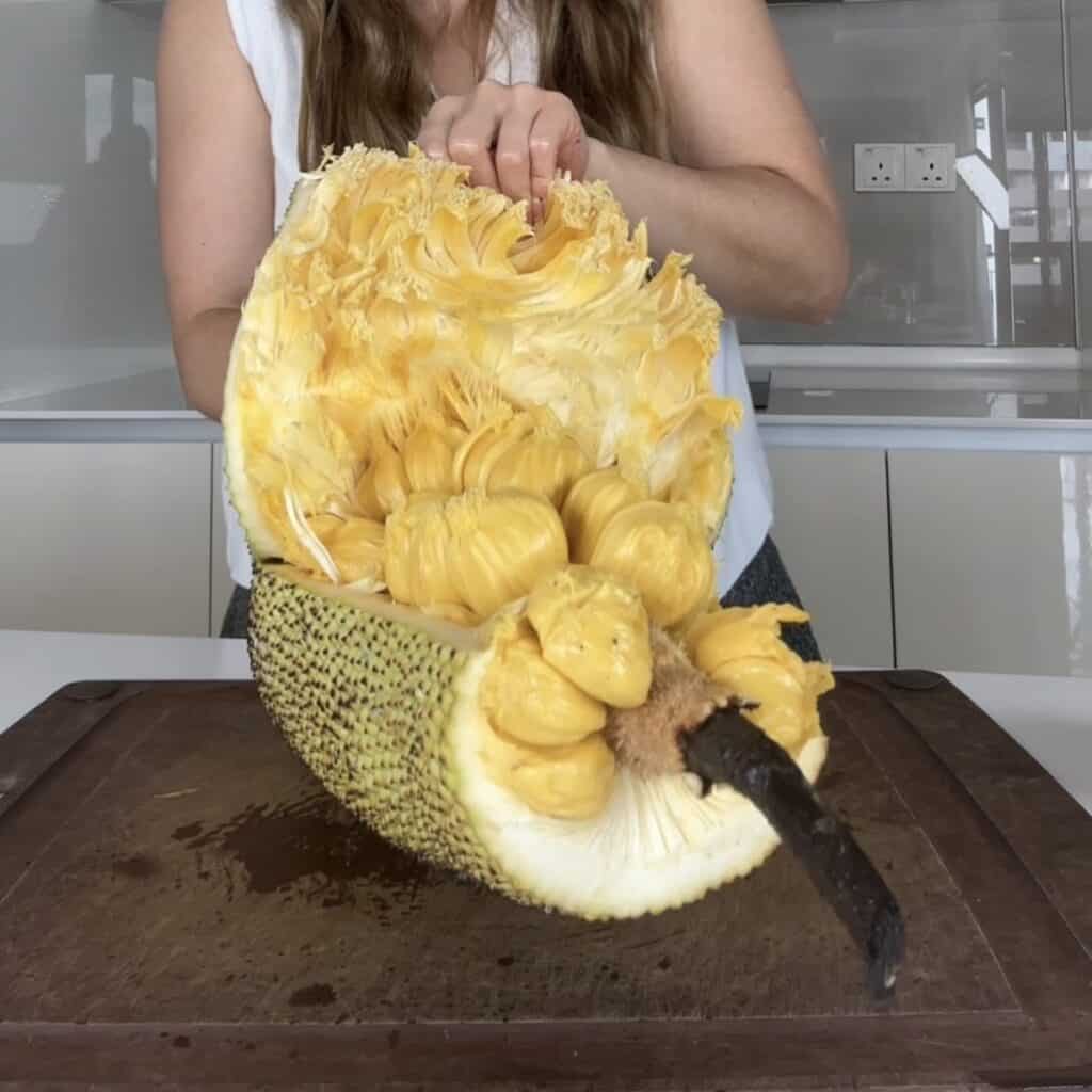 A close-up of a person peeling the thick outer skin away from both sides of a split cempedak fruit, exposing the central core of golden pods.