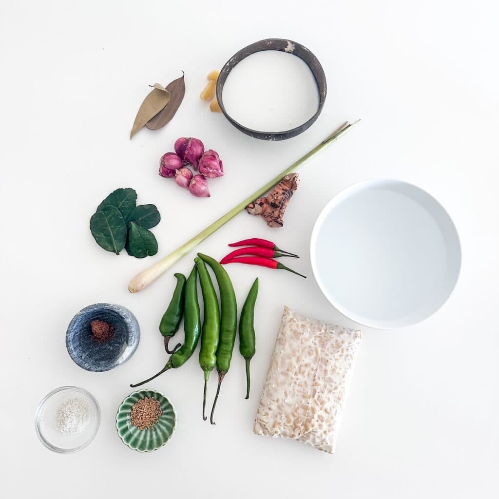 Ingredients for green curry tempeh including tempeh, coconut milk, green chillies, red chillies, lemongrass, galangal, garlic, shallots, kaffir lime leaves, and bay leaves.