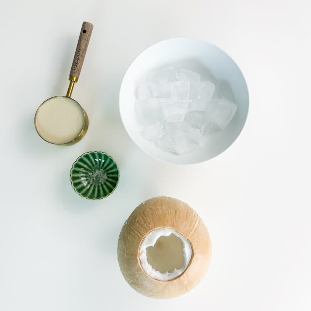 Ingredients for a coconut smoothie using coconut water, coconut meat, coconut milk, ice, and salt.